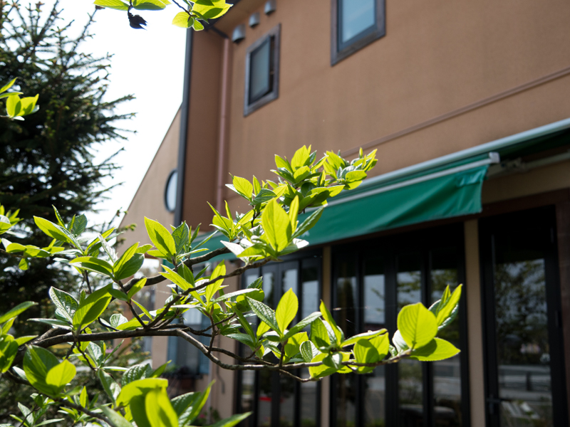 ゴールデンウィーク半ば午前の日差し