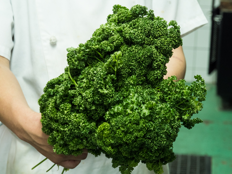 パセリ！！栄養満点の脇役