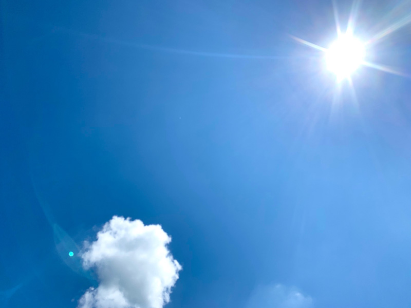 梅雨の晴れ間　今日の花巻