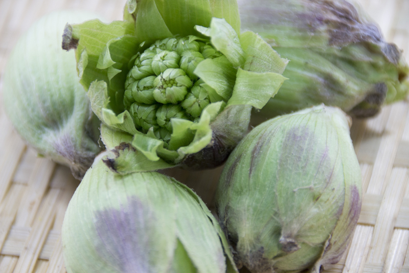 ばっけ味噌と桜エビのピザ