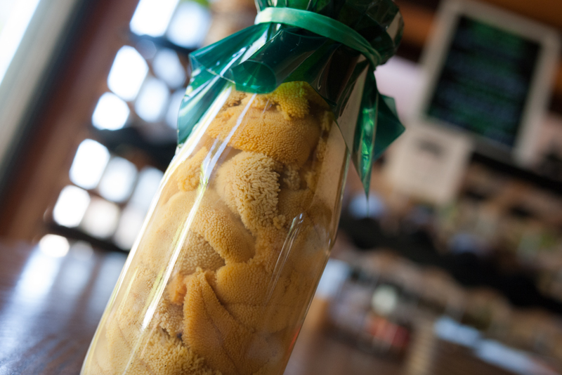 岩手三陸 山田町産 天然生ウニ