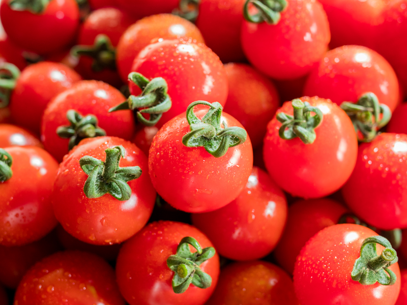 花巻市石鳥谷産ミニトマト