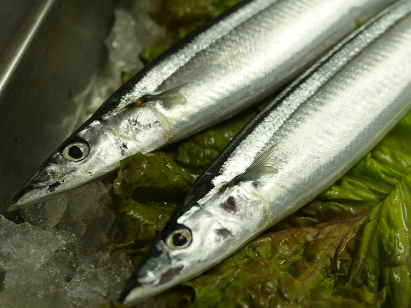 北海道産　秋刀魚