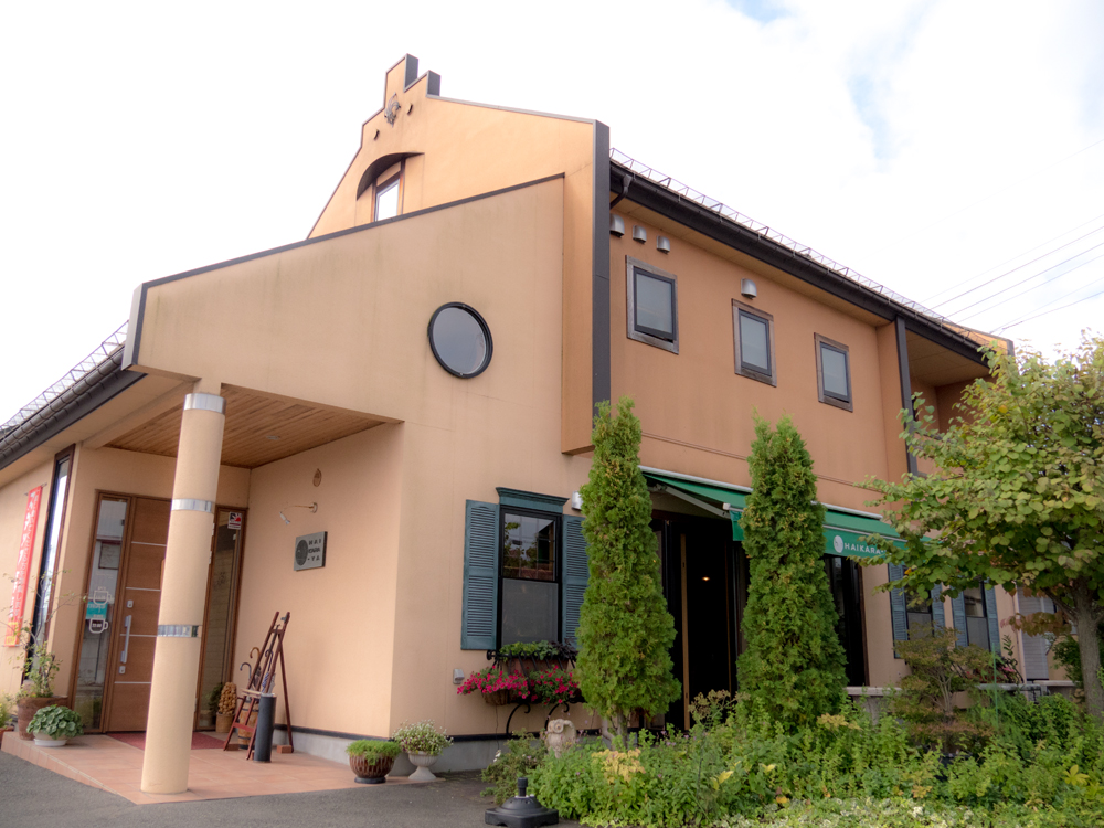 スタッフ・会社情報