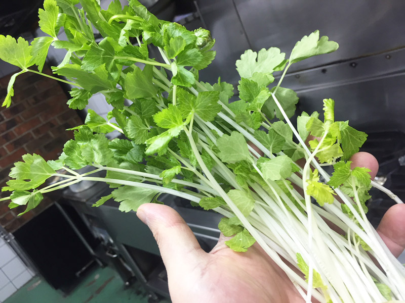 旬な食材　花巻産ホワイトセロリ