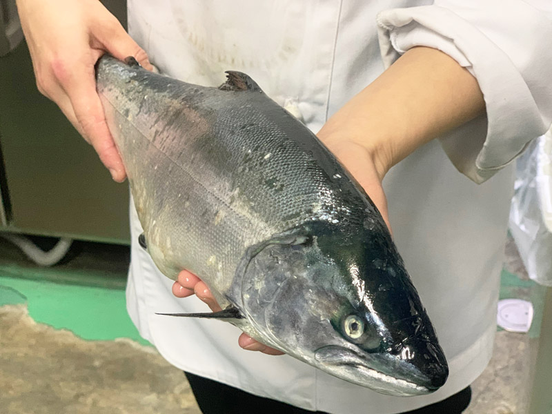 旬な素材　北海道産　真鱒