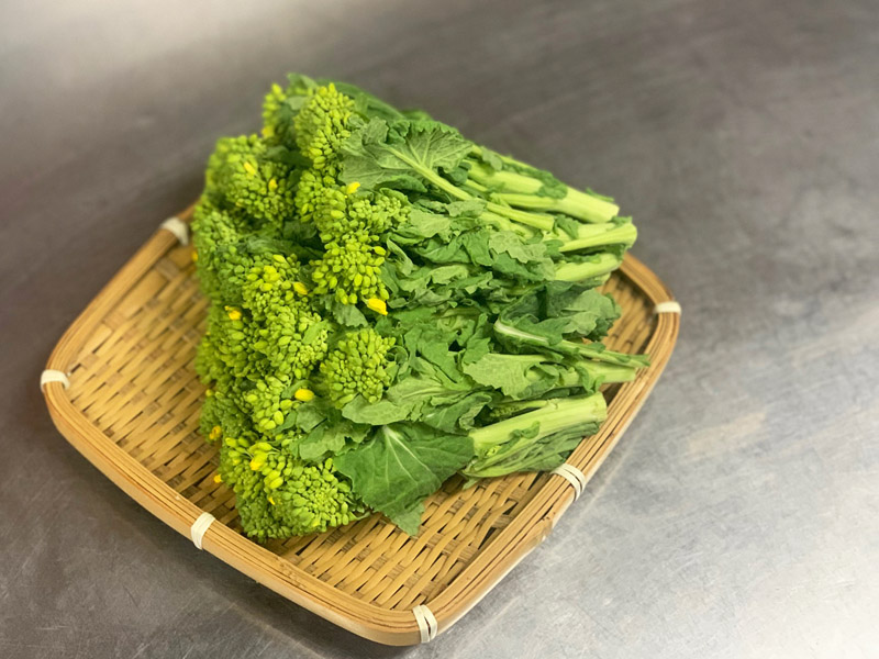 旬な素材　菜花