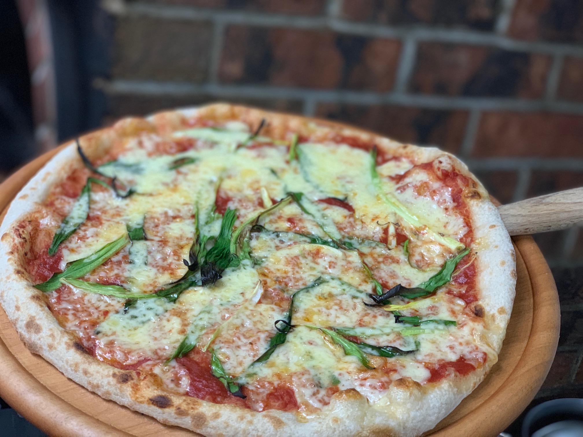 季節メニュー　岩手産 行者にんにくピザ