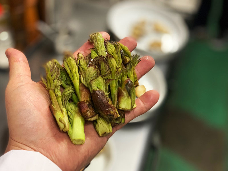 旬な素材　岩手産タラの芽