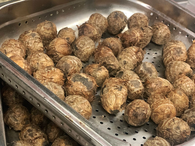 旬な食材　二子いも