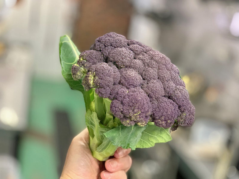 旬な食材　岩手産　紫ブロッコリー