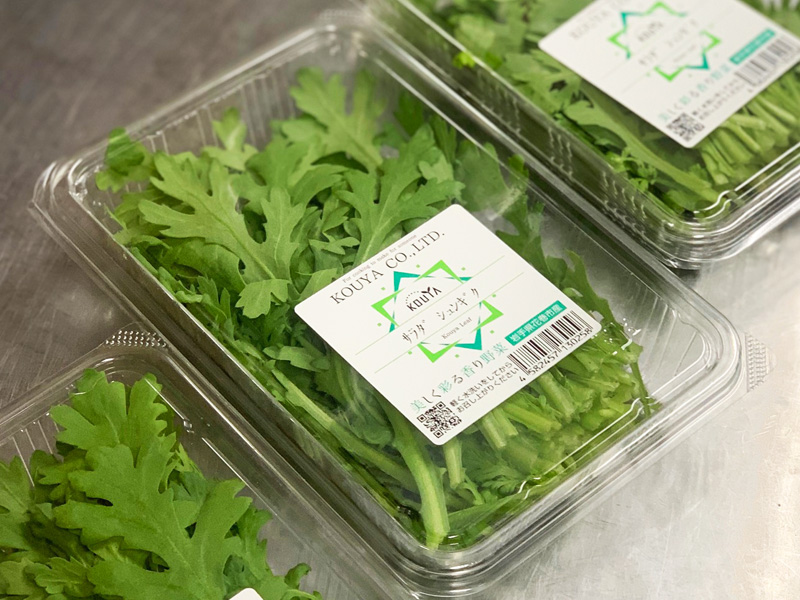 旬な食材　花巻産サラダ春菊