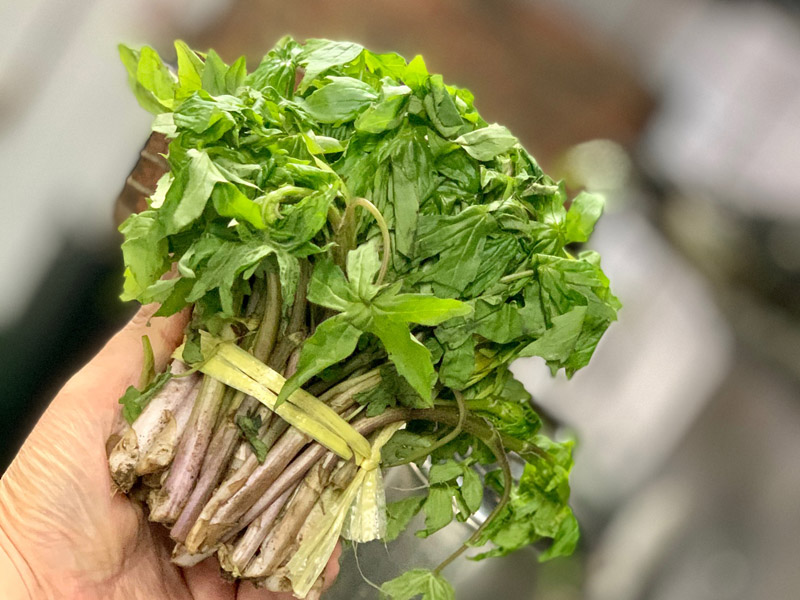 旬な食材　岩手県岩泉産　天然しどけ