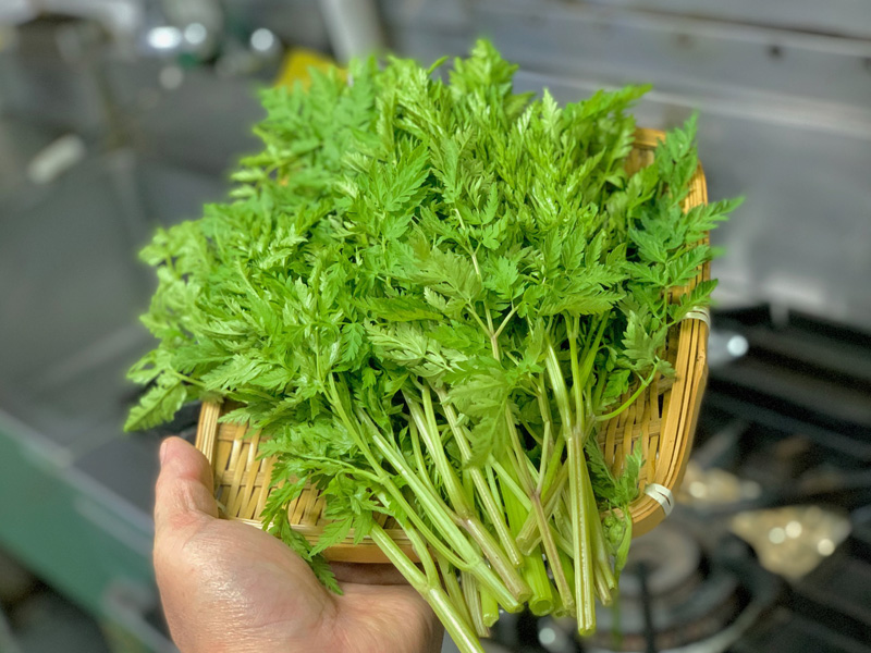 旬な食材　岩手産ヤマニンジン