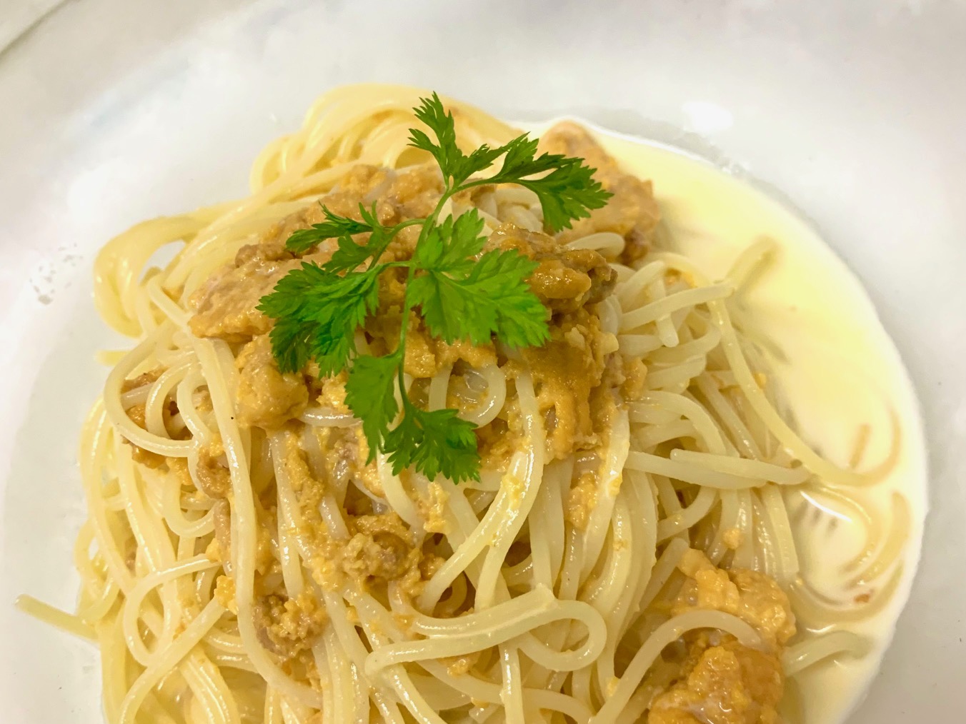 季節メニュー　冷製・温製生うにスパゲティ