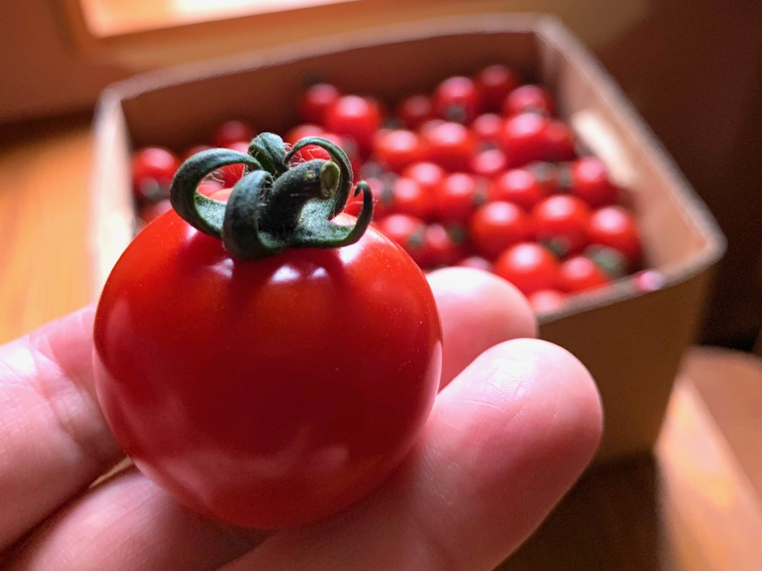 旬な食材　花巻産ミニトマト
